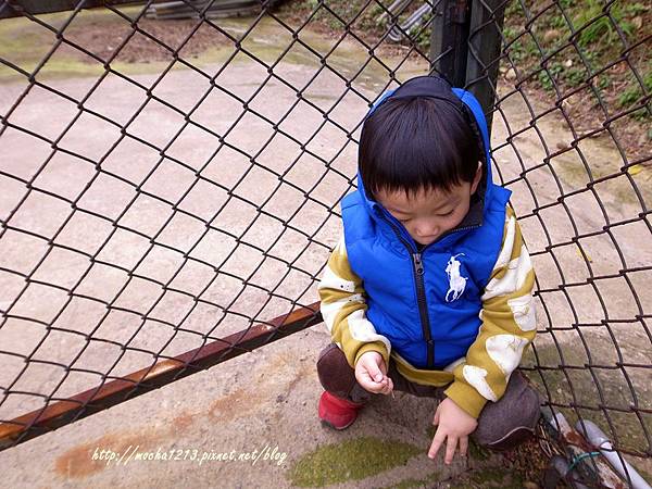 R1177728.JPG R1177728.JPG