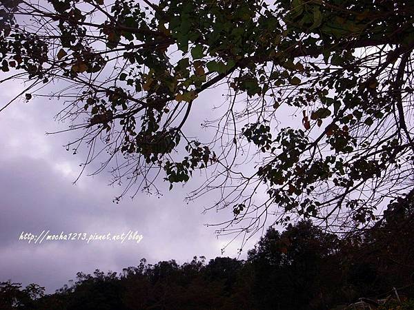 R1177737.JPG R1177737.JPG