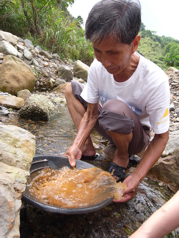 努力淘出真正的黃金 水金九巴士深度體驗