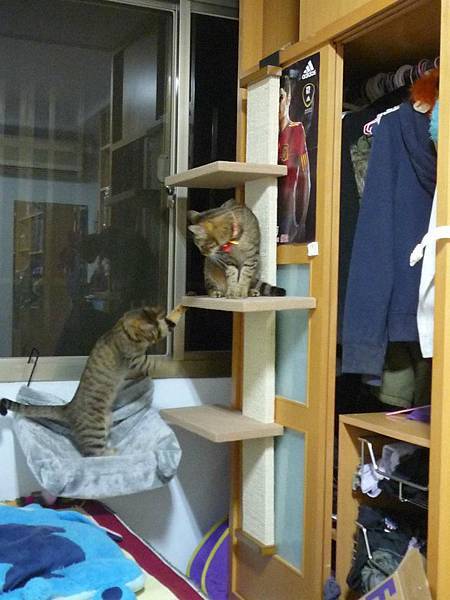 382453_10150866820303201_1314984513_n