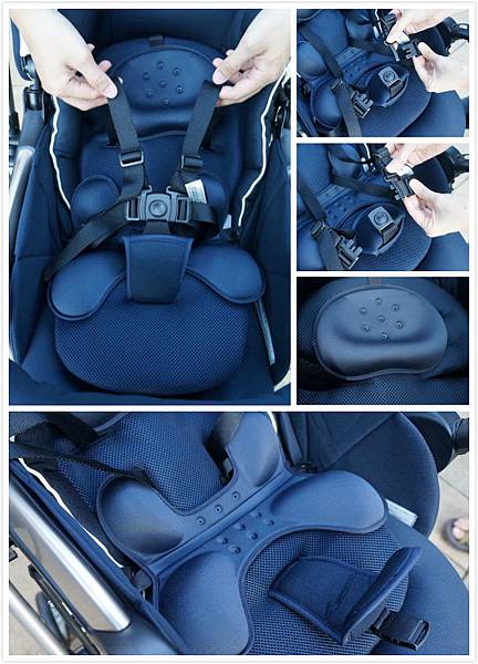 安全帶&坐墊 安全帶&坐墊