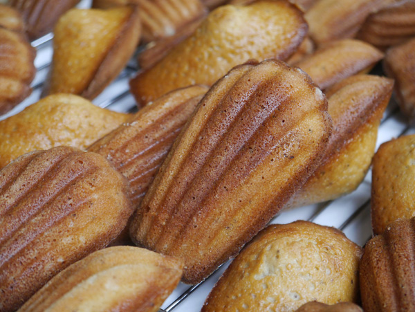 蜂蜜玫瑰瑪德蓮