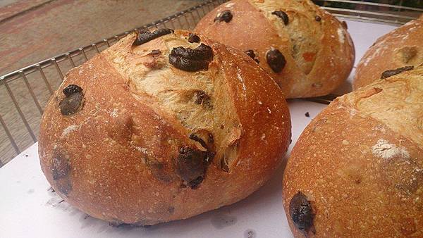 10615568_1012487865443636_1170989206387535089_n