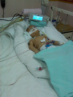 IMG00317-20091210-1157.jpg IMG00317-20091210-1157.jpg