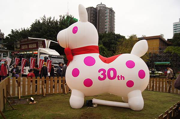 DSC06504 DSC06504
