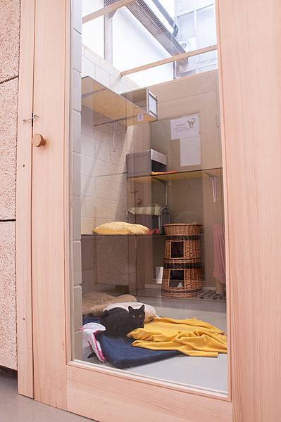 LJS_8190 LJS_8190