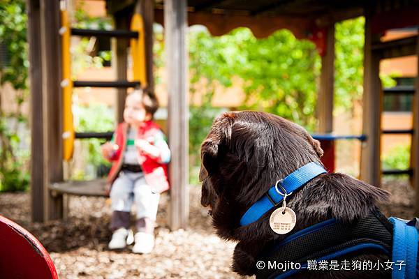 _LJS3009.JPG _LJS3009.JPG