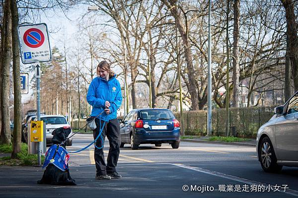_LJS8316.JPG _LJS8316.JPG