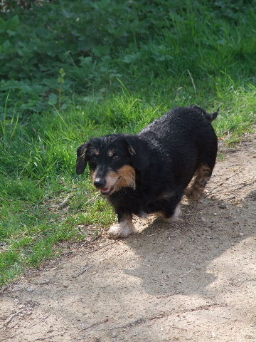 2009_04210046.JPG 2009_04210046.JPG