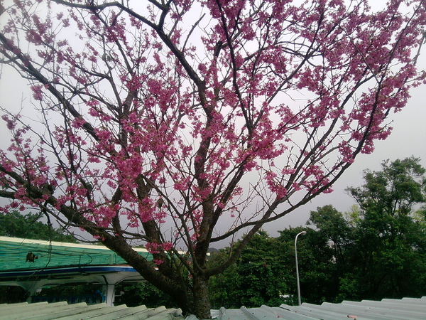 P07-02-09_15.02.jpg P07-02-09_15.02.jpg