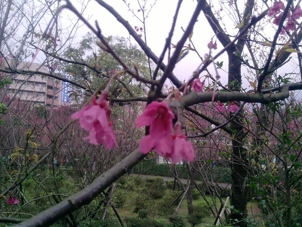 P07-02-09_15.01.jpg P07-02-09_15.01.jpg