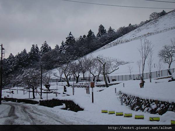 DSC06087.JPG DSC06087.JPG