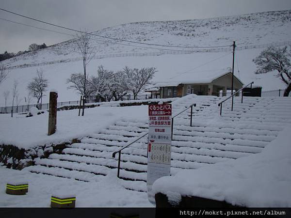 DSC06090.JPG DSC06090.JPG