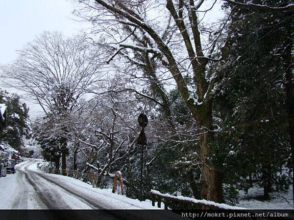 DSC06102.JPG DSC06102.JPG