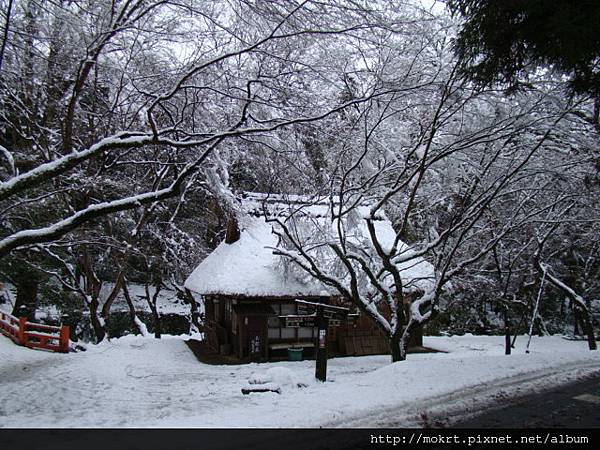 DSC06104.JPG DSC06104.JPG