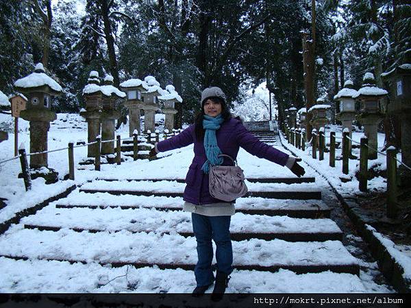 DSC06120.JPG DSC06120.JPG