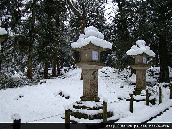 DSC06121.JPG DSC06121.JPG