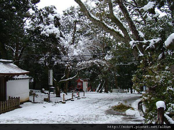 DSC06130.JPG DSC06130.JPG