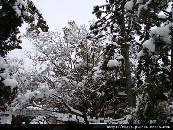 DSC06132.JPG DSC06132.JPG