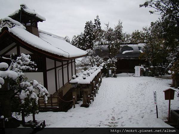 DSC06137.JPG DSC06137.JPG