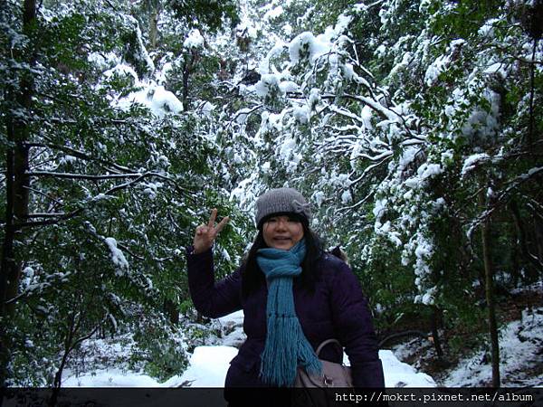 DSC06163.JPG DSC06163.JPG