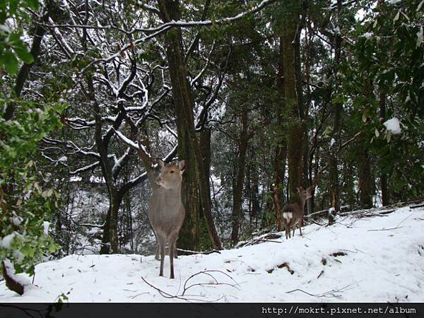 DSC06164.JPG DSC06164.JPG