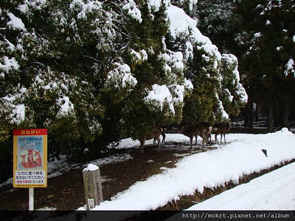 DSC06170.JPG DSC06170.JPG