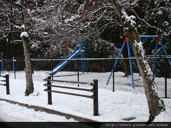 DSC06173.JPG DSC06173.JPG