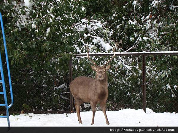 DSC06174.JPG DSC06174.JPG