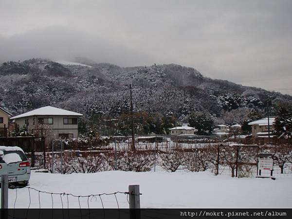 DSC06177.JPG DSC06177.JPG