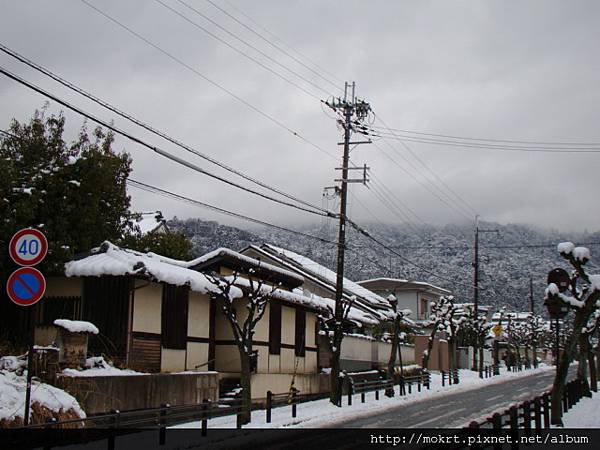 DSC06186.JPG DSC06186.JPG