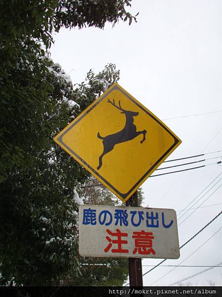 DSC06190.JPG DSC06190.JPG