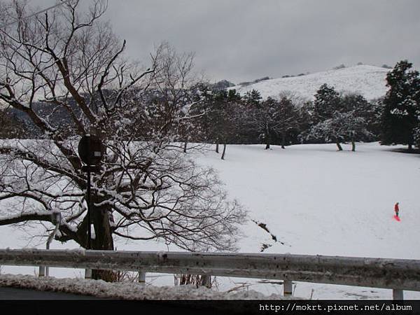 DSC06191.JPG DSC06191.JPG