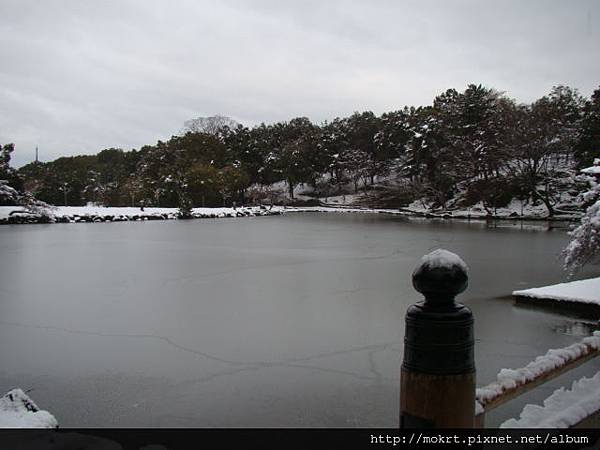 DSC06192.JPG DSC06192.JPG