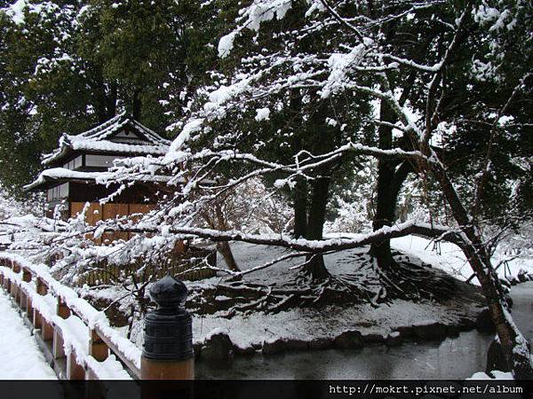 DSC06194.JPG DSC06194.JPG