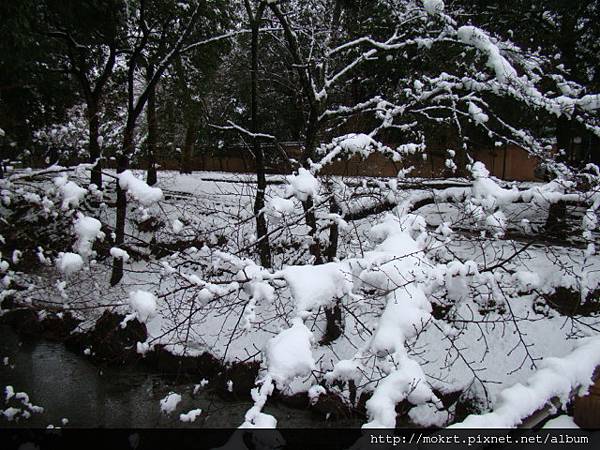 DSC06200.JPG DSC06200.JPG