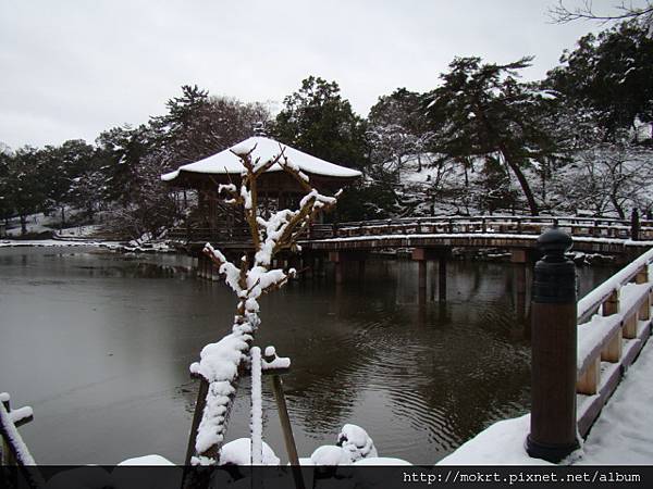 DSC06201.JPG DSC06201.JPG