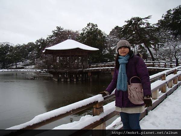 DSC06203.JPG DSC06203.JPG