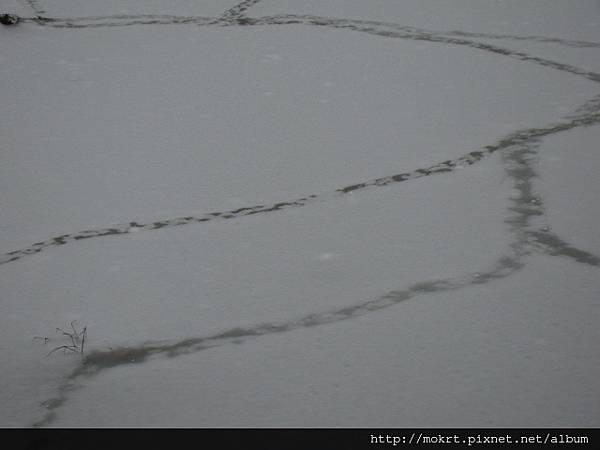 DSC06205.JPG DSC06205.JPG