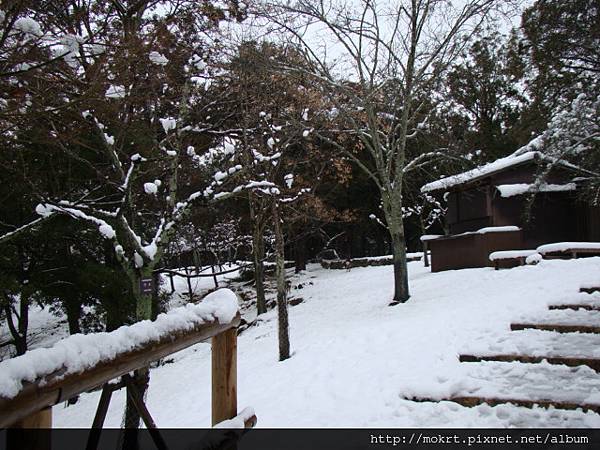 DSC06210.JPG DSC06210.JPG