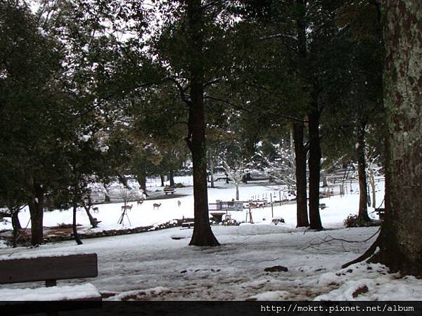 DSC06212.JPG DSC06212.JPG