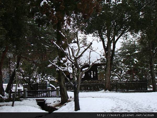 DSC06213.JPG DSC06213.JPG