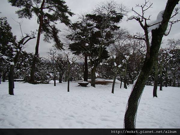 DSC06214.JPG DSC06214.JPG