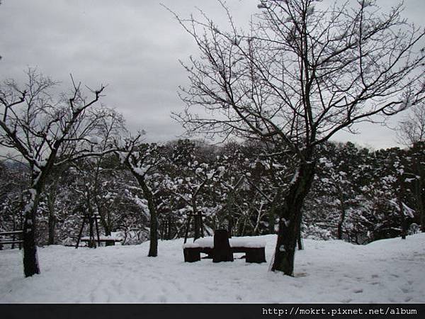 DSC06215.JPG DSC06215.JPG