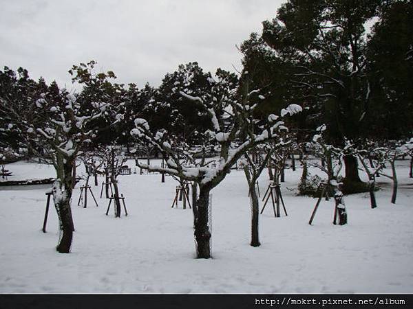 DSC06217.JPG DSC06217.JPG