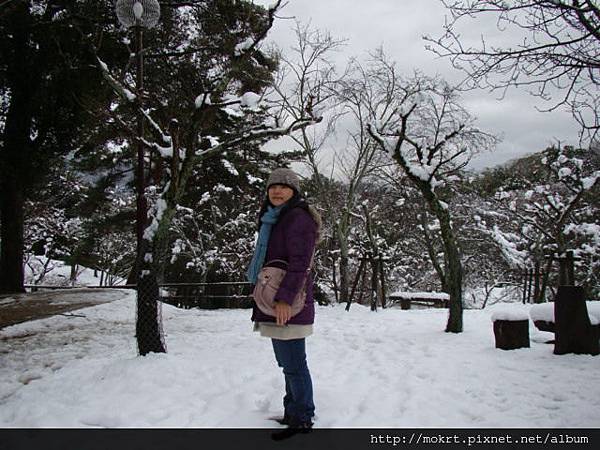 DSC06216.JPG DSC06216.JPG