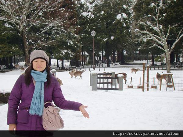 DSC06221.JPG DSC06221.JPG