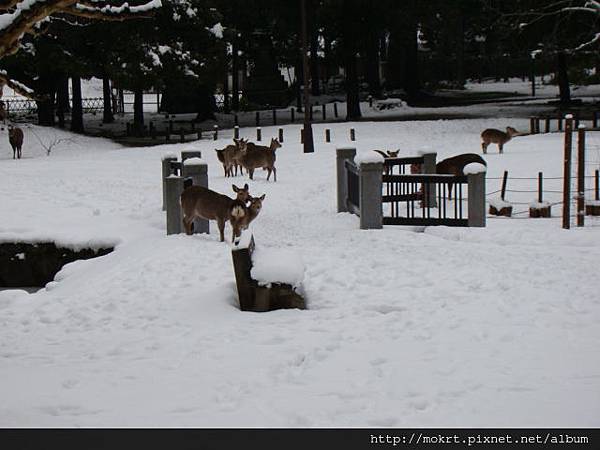 DSC06219.JPG DSC06219.JPG