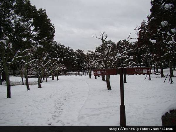 DSC06223.JPG DSC06223.JPG