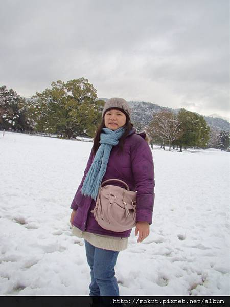 DSC06227.JPG DSC06227.JPG